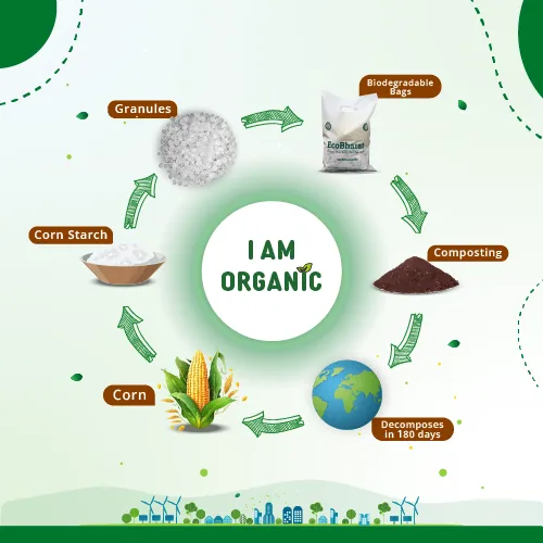 Biodegradable and Compostable U-cut Carry Bags 10x12(175pcs)1.5kgs Capacity